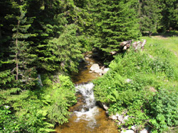 Екопътека 'Пазителката на живота'
