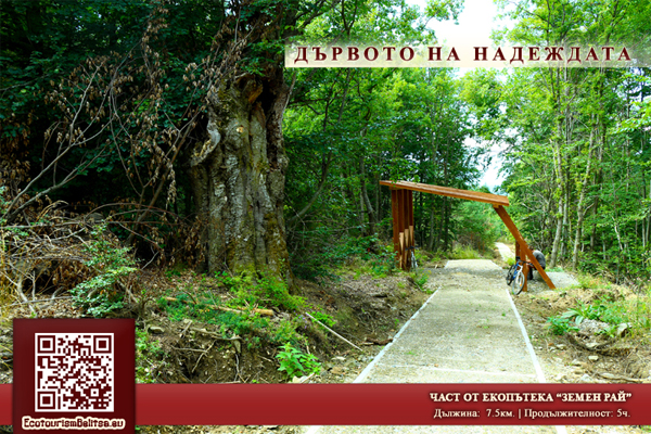Дървото на желанията