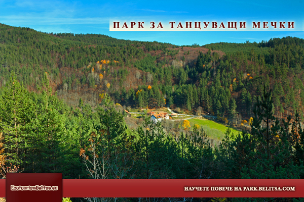 Андрианов чарк и Парка за танцуващи мечки